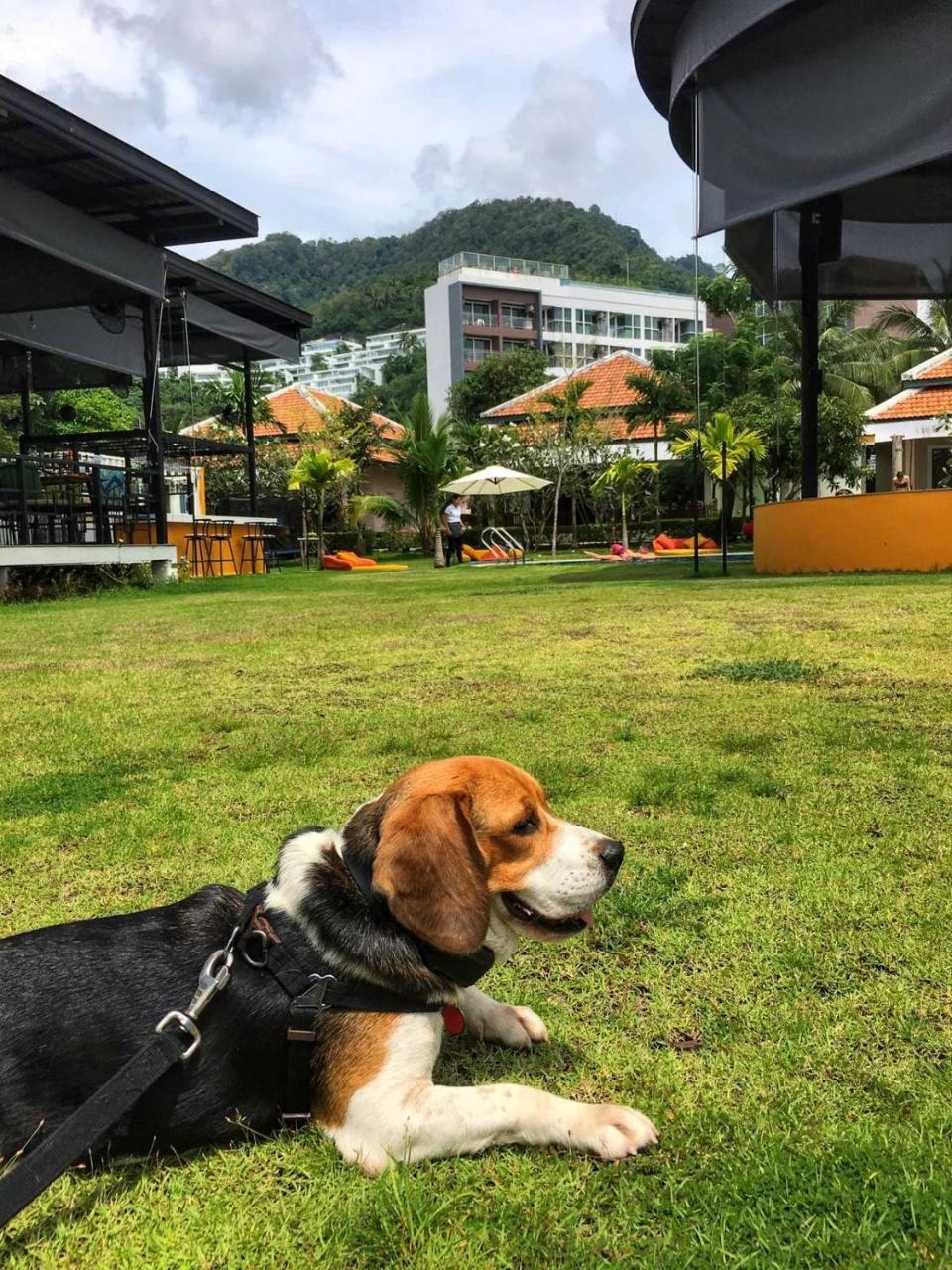 Jazz U Garden Resort 카타 비치 외부 사진